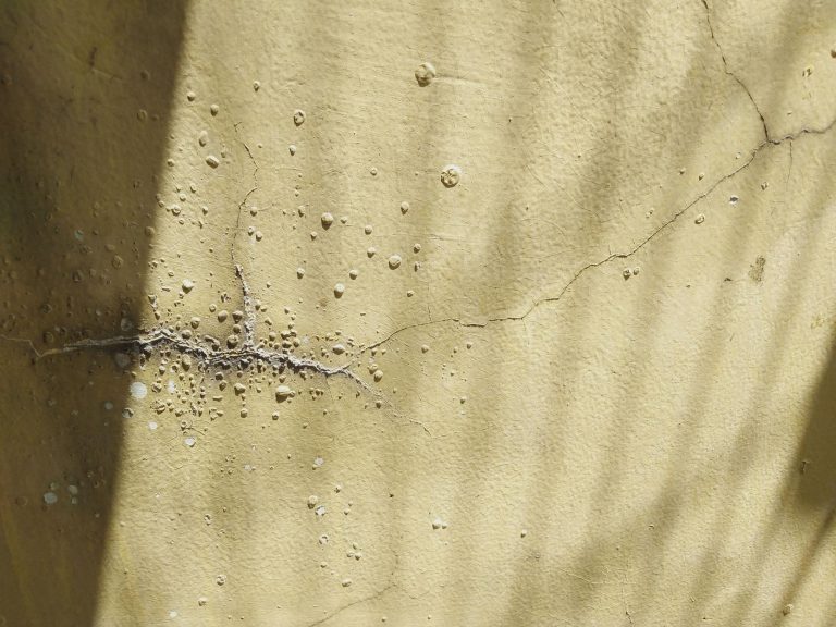 Cracks in Walls: What They Mean and When to Worry